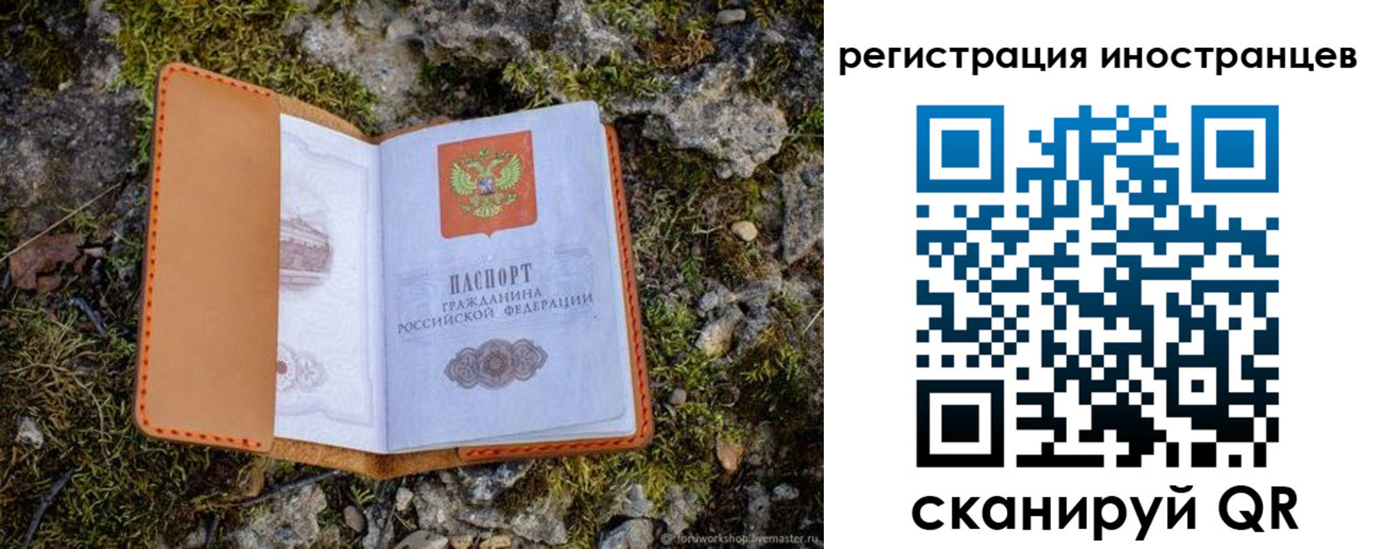прописка паспорт в Смоленске